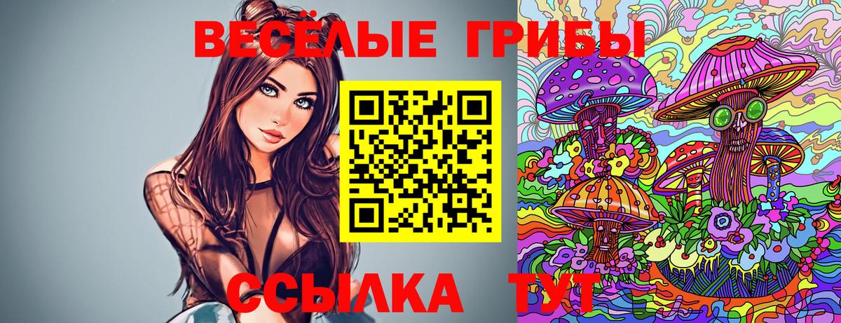 Новокузнецк  Псилоцибиновые грибы Cubensis  Вход с VPN 